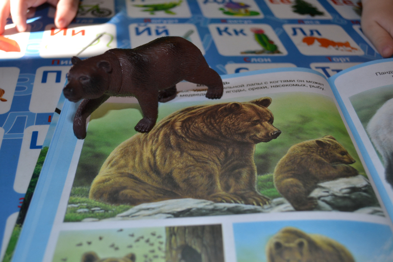 Наши животные