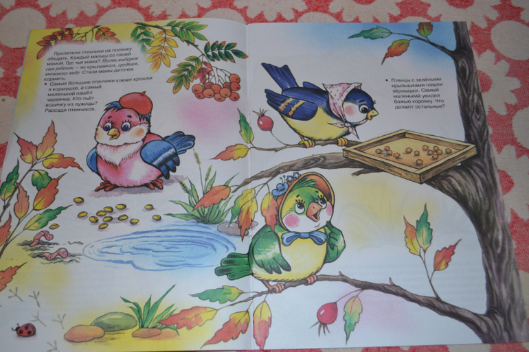 Наше развивающее пополнение