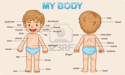 My Body