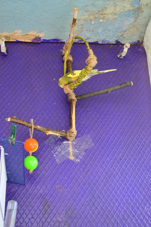 И снова о наших баранах!