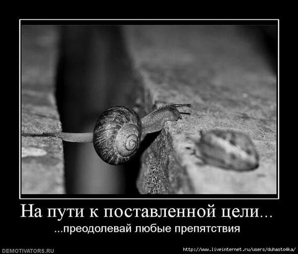 Старт 16.06.3 Неделя 5 День.Отчет за четверг.