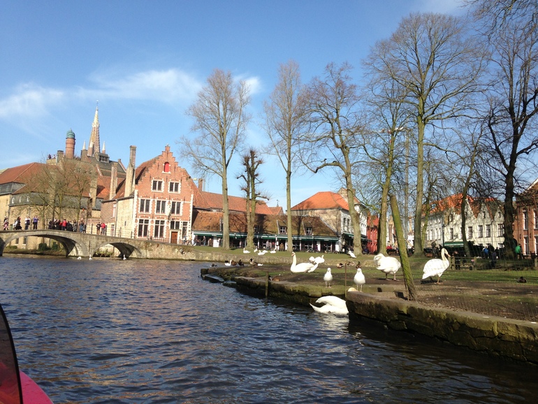 Амстердам-Брюгге и обратно. 8 марта 2014