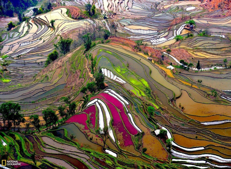 Лучшие фотографии марта