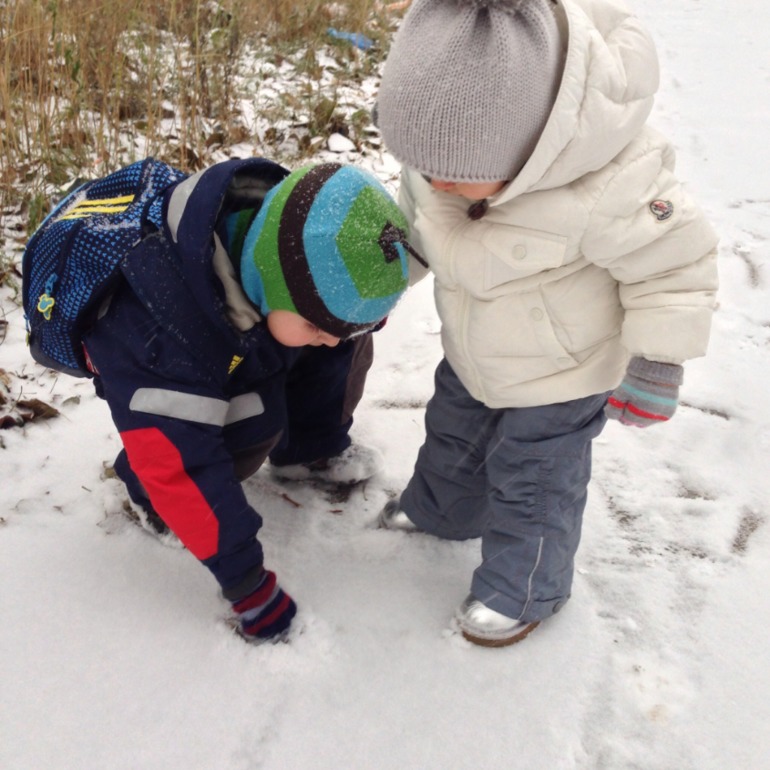 Зима приходит.....