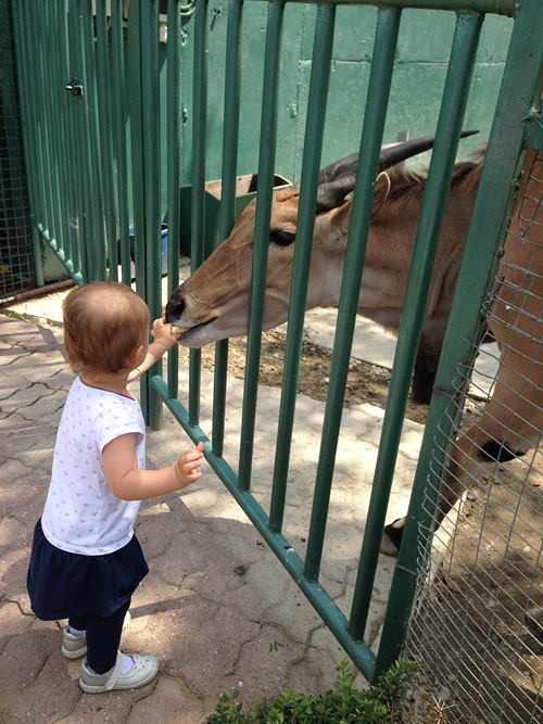 Окончание нашей поездки в Сочи) скоро домой!