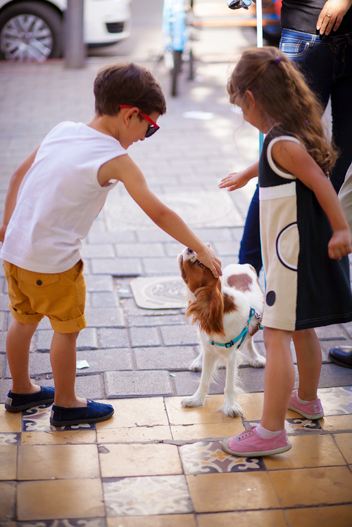 Не могу не поделиться нашей сладкой парочкой:)