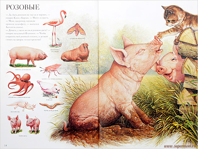 Наше энциклопедическое, книжное