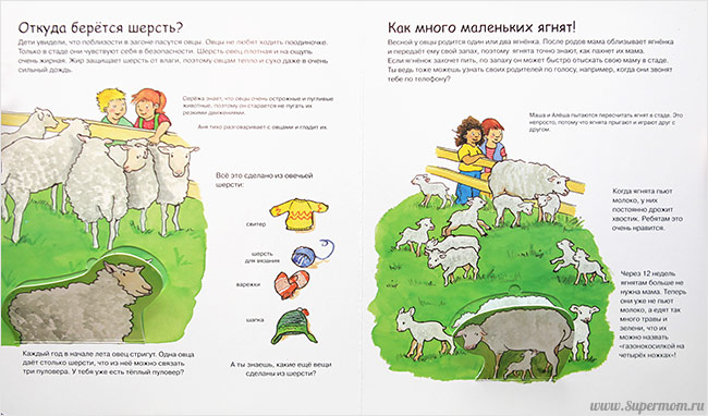 Наше энциклопедическое, книжное