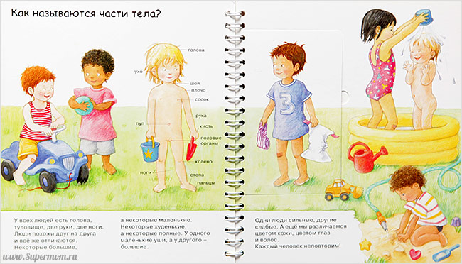 Наше энциклопедическое, книжное