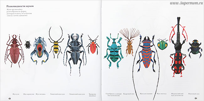 Наше энциклопедическое, книжное