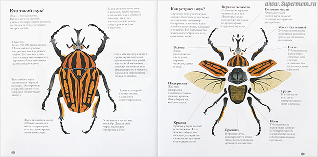 Наше энциклопедическое, книжное