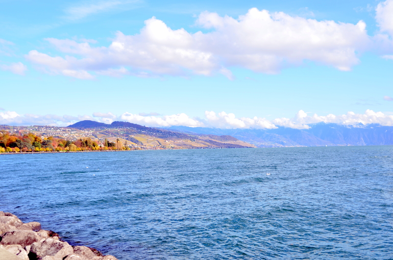 Приехали, пока фото)