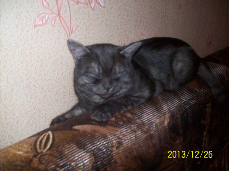 Сладкий сон к себе мани.......