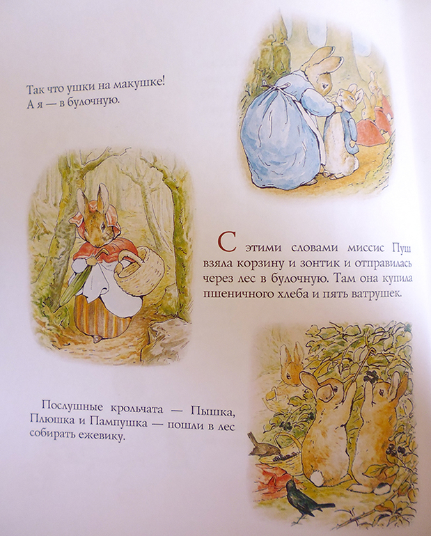 Все о кролике Питере и другие наши зайцы-иностранцы