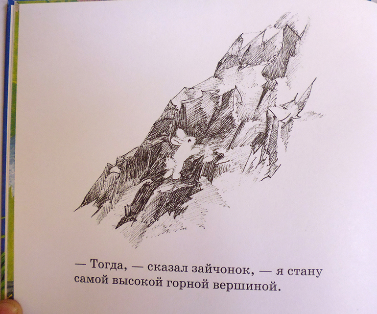 Все о кролике Питере и другие наши зайцы-иностранцы