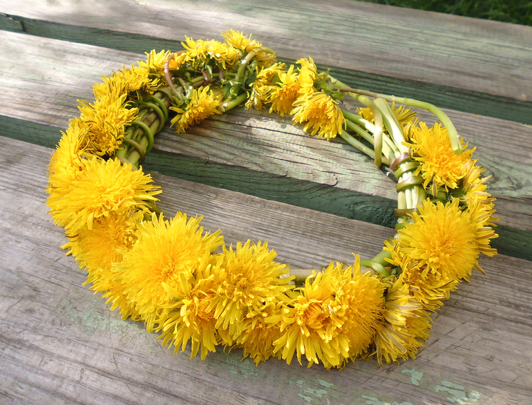 Пристрастия