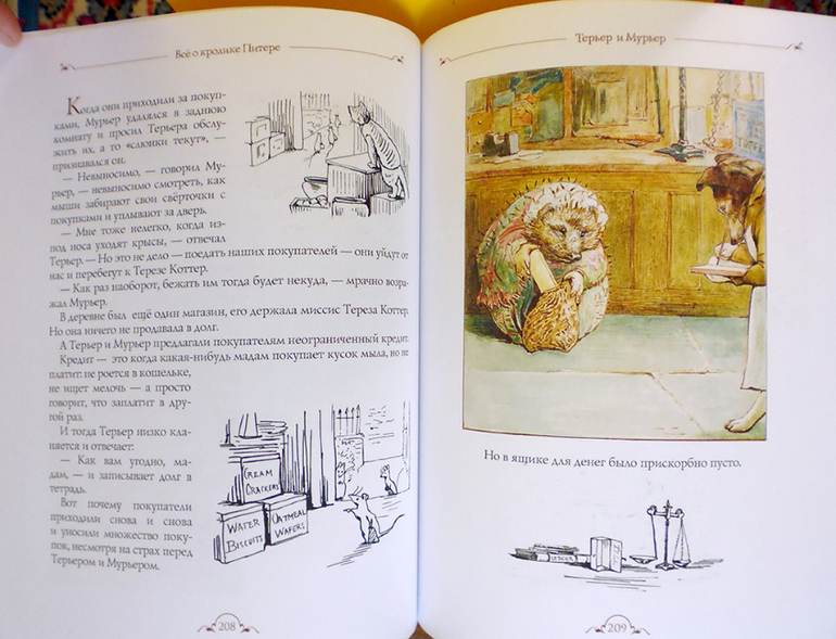 Все о кролике Питере и другие наши зайцы-иностранцы