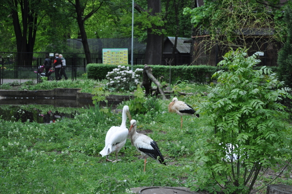 Калининградский Зоопарк