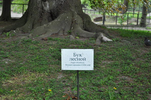 Калининградский Зоопарк