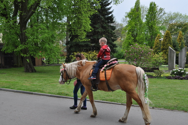 Калининградский Зоопарк