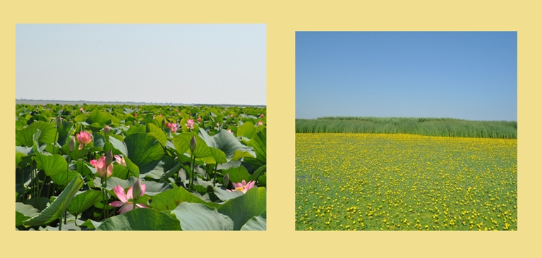 Голубицкая 17.06.2013