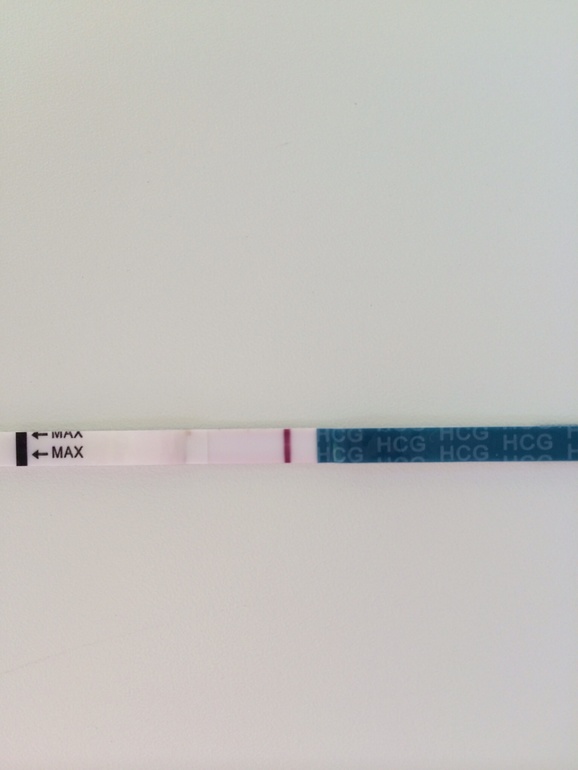 Эксперимент: день тринадцатый)