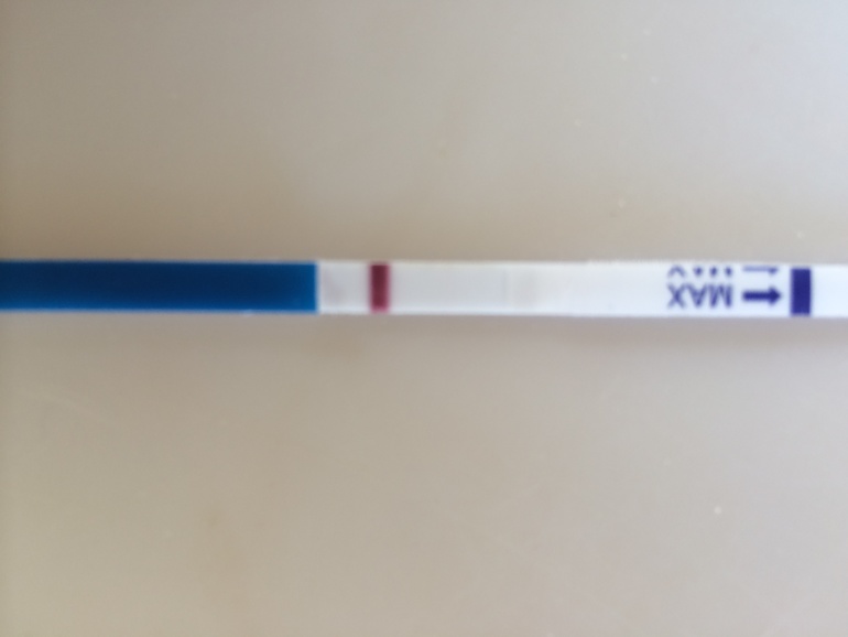 Вернулаааась! Куча тестов и отчет)