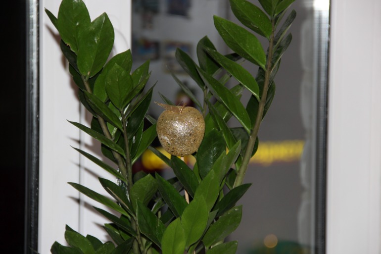 Тренеруюсь )