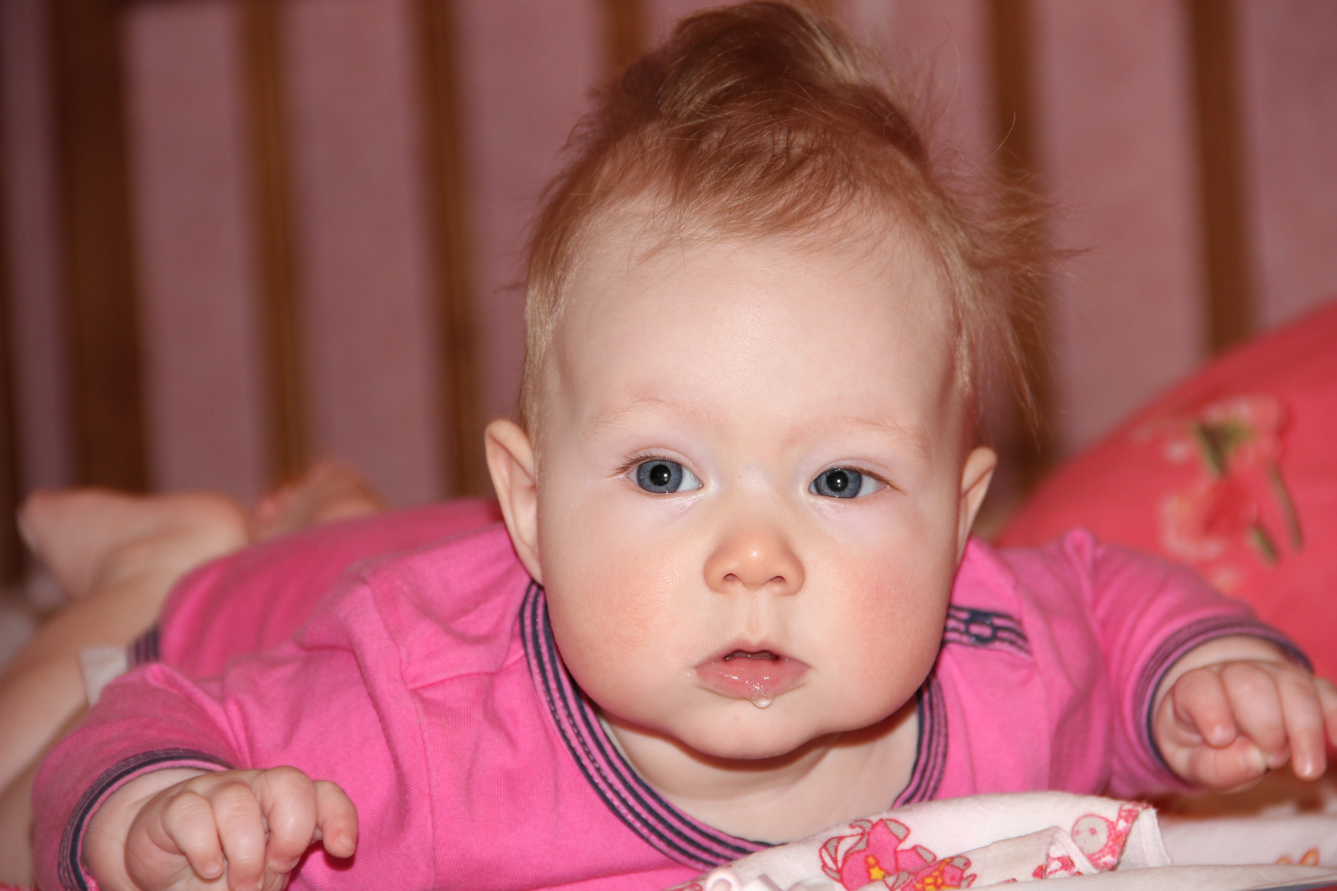 5м 10д Верульке