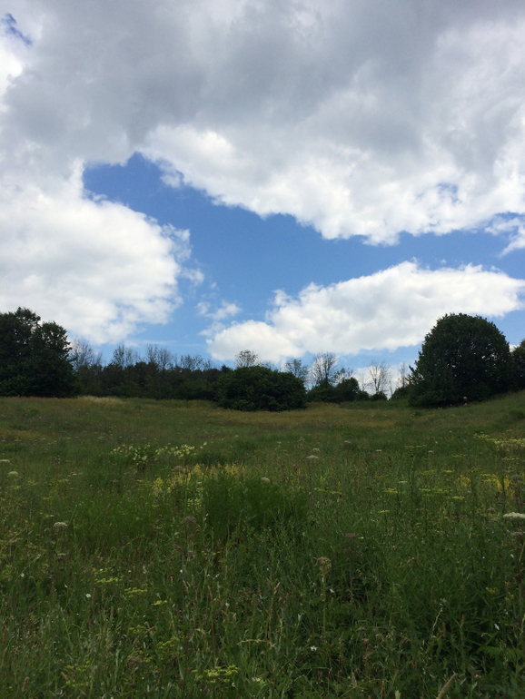 Парк Царицыно ЖДЕТ НАС!!!