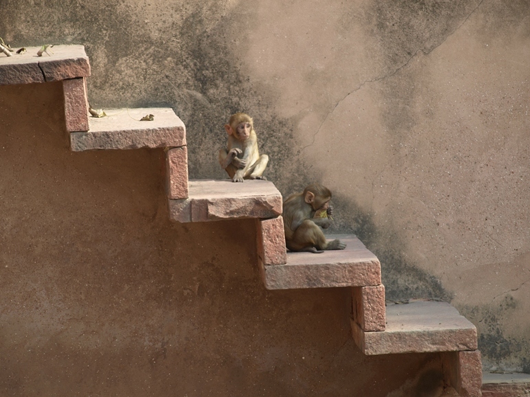 МЫ УЛЕТАЕЕЕМ!!!! ЕЕЕЕ