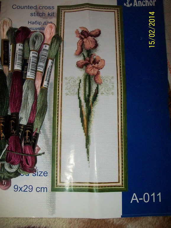 Хомяк ищет хозяюшку