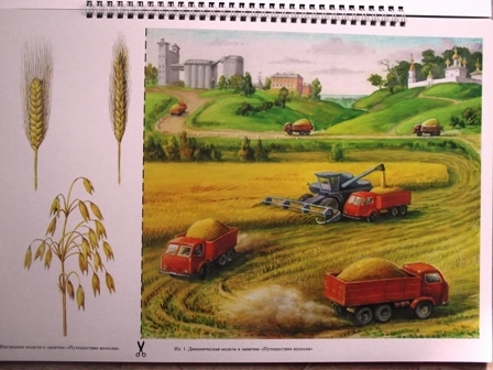 Добро пожаловать в экологию!