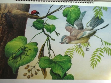 Добро пожаловать в экологию!