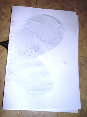 Тематическая неделька о насекомых и прочей мелюзге))