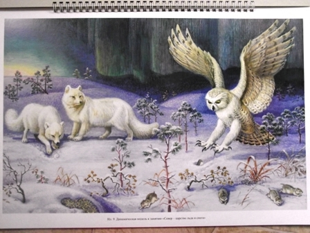 Добро пожаловать в экологию!