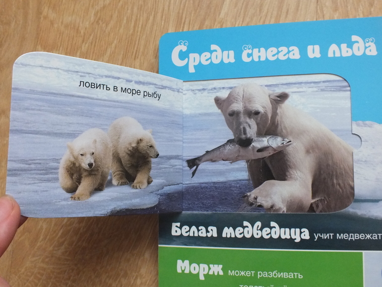 Пополнение библиотеки. Часть 4. Познавательная