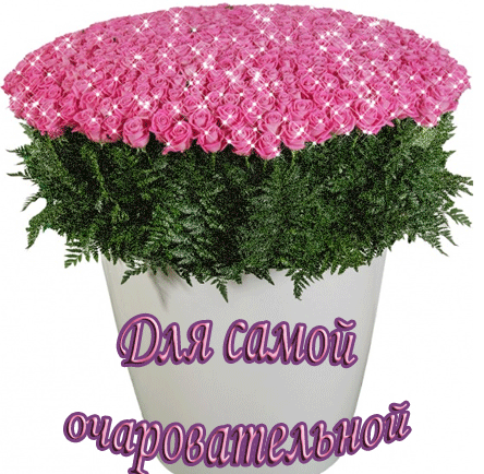 c61e72699312dbdc7168a1468e0f7153.gif