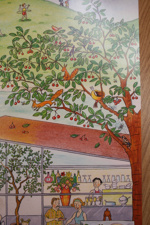 Книги для рассматривания