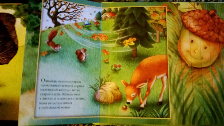 Белки..... белки.....