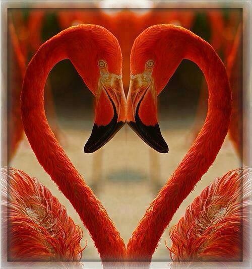 Желаю всем!