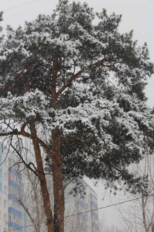 Погодные причуды!