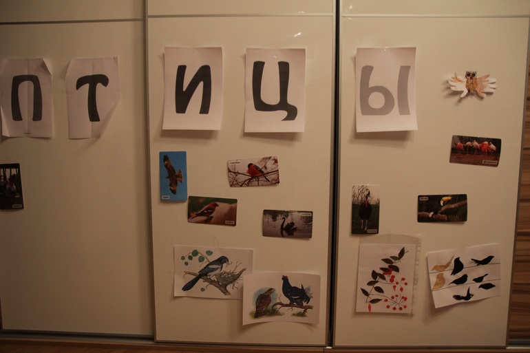 ТН Птицы день 2 вместе с проектом Play mama