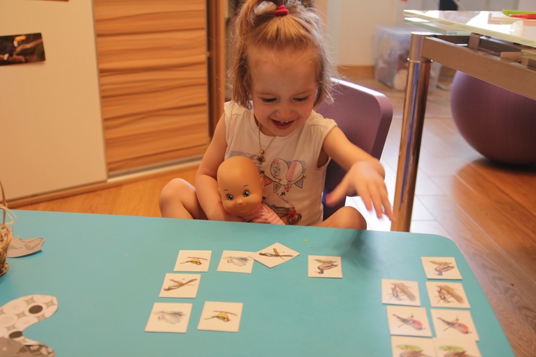 ТН Птицы день 1 вместе с проектом Play mama