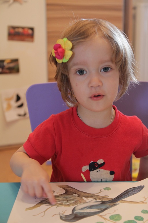 ТН Птицы день 4 вместе с проектом Play mama