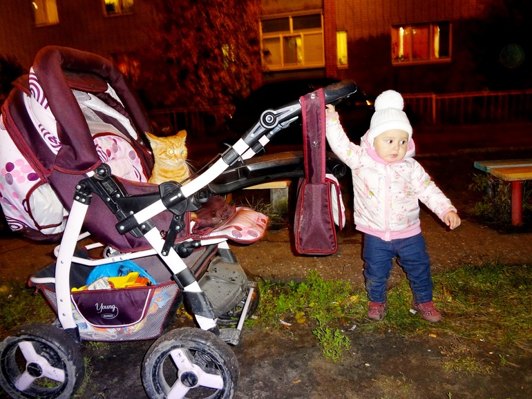 А Викуське год и пять!