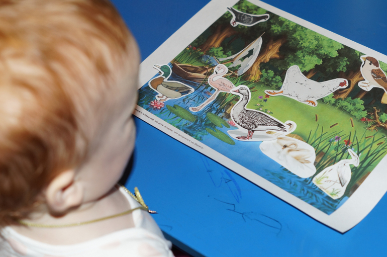 ТЗ Кто живет в пруду?