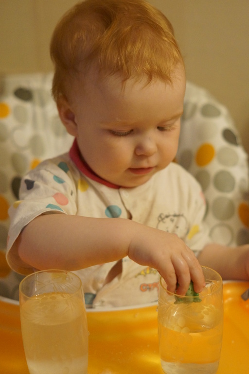 ТЗ Кто живет в пруду?