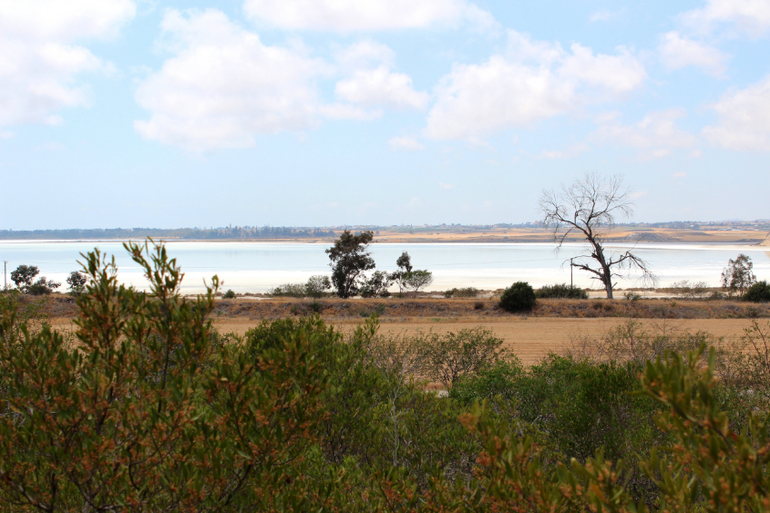 Кипр, свадьба подруги... или просто незабываемый отпуск