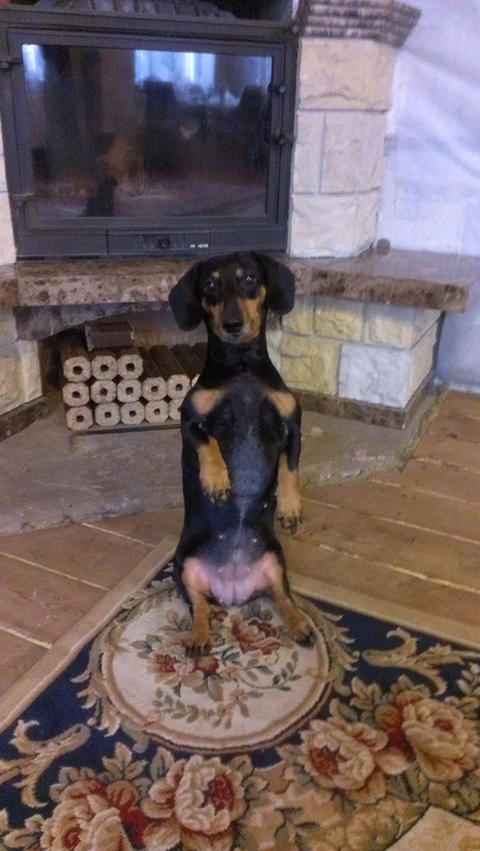 Благодарю вас,Влада!